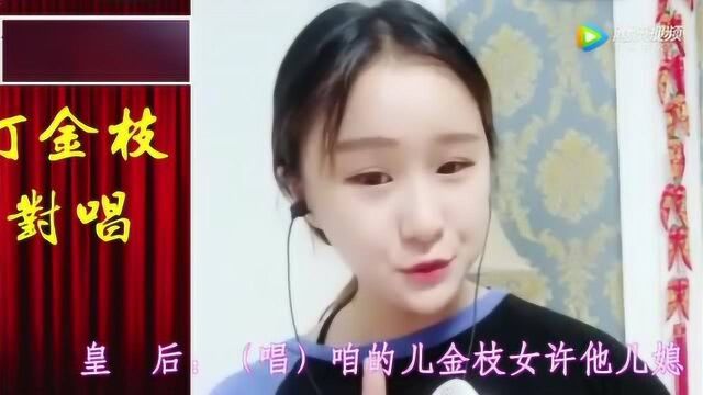 河南小妮子再唱《打金枝》太有才了