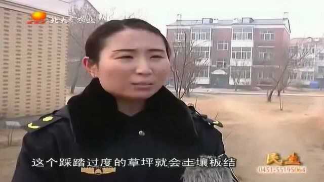 绿色草坪遭践踏,文明出行从我做起