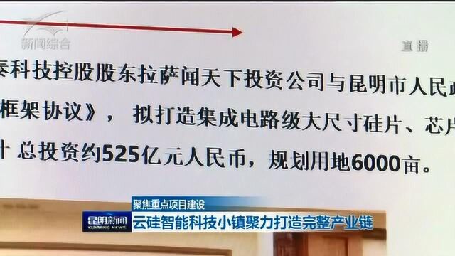 聚焦重点项目建设 高新区加快推进铂类抗肿瘤药物生产线建设