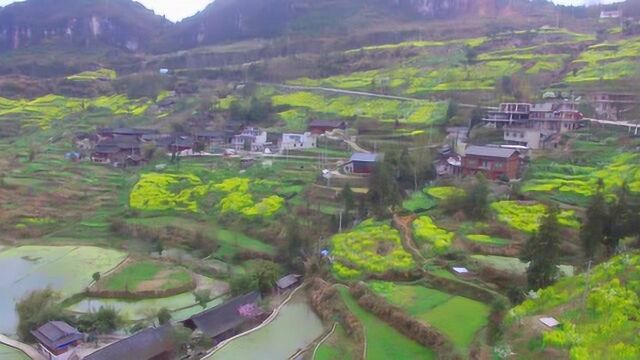 航拍贵州凯里洛棉村,风景如画的美丽小山村,贵州农村真美!