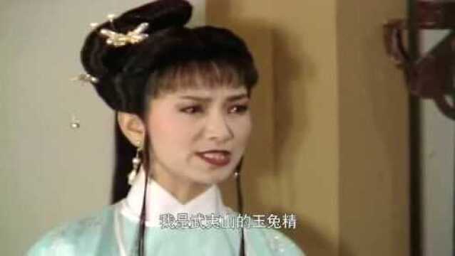 玉兔精胡媚娘向许仕林,表明真实身份,吓坏了仕林,媚娘的身世很高