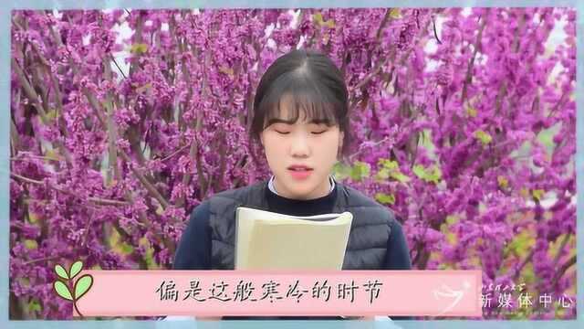 春天的诗会,山理学子