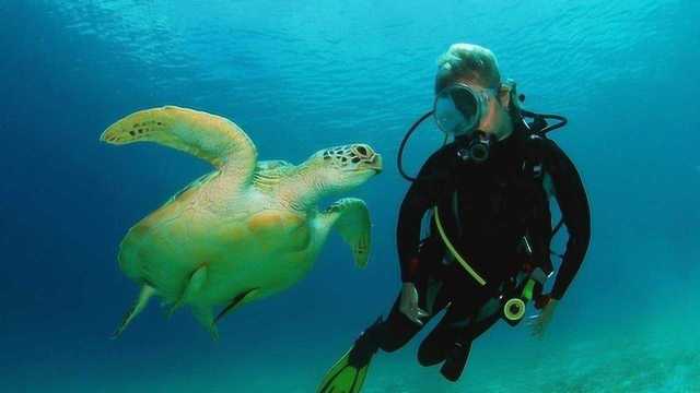 一口气潜游深海可能吗?自由潜水大神,海底漫步解释奥秘