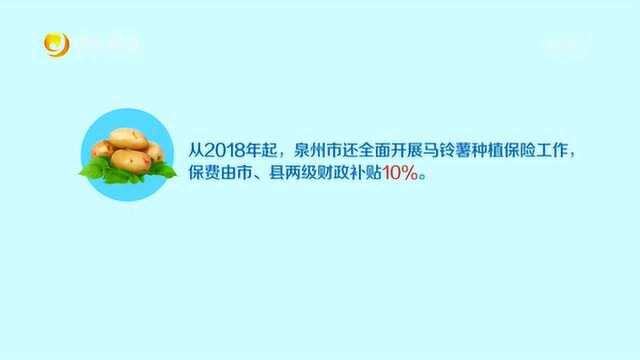 泉州:全省率先推行水稻叠加保险