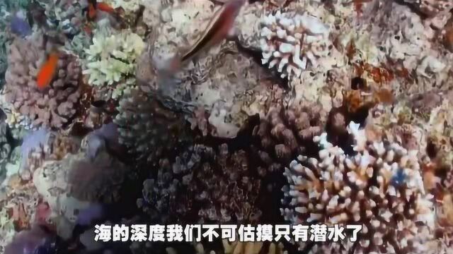 发生了啥?蛟龙号在7000米海底突然失联,看到的一幕让各国羡慕