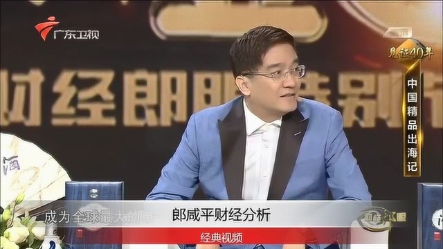 郎咸平演讲:中国品牌出海记