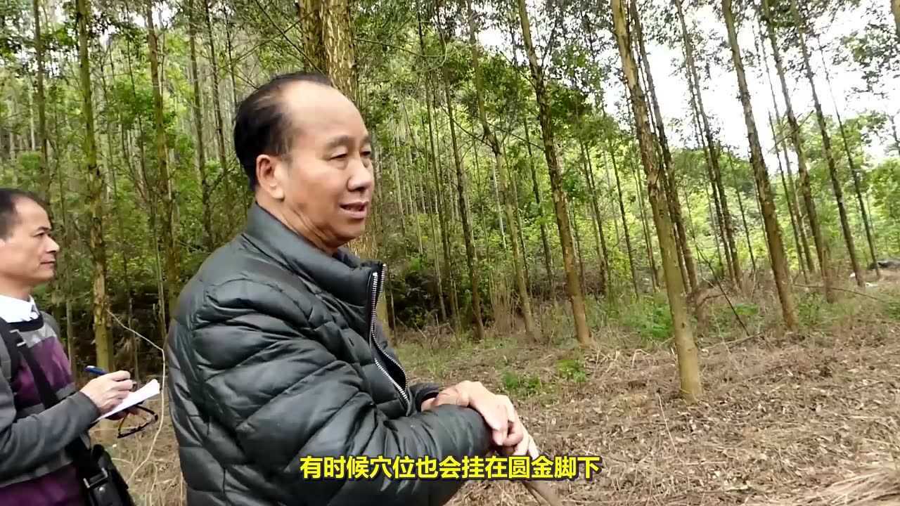 腾讯视频-中国领先的在线视频媒体平台,海量高清视频在线观看