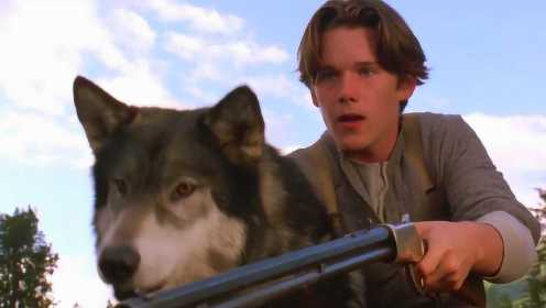 伊桑·霍克主演的冒险片《雪地黄金犬》：这是我见过最有灵性的狗