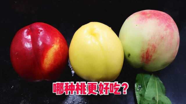 水果雕刻师测试3款桃子,究竟哪种桃更好吃?