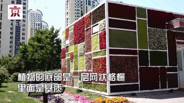 你见过这么好看的公厕吗?!鲜花、绿植围绕!