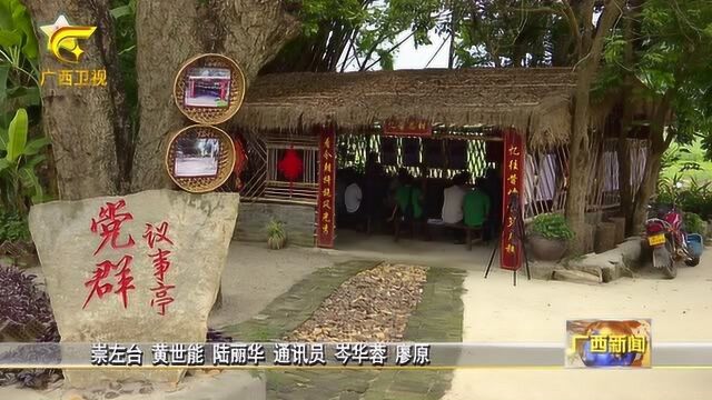 崇左市江州区江州镇保安村:党建领航乡村兴