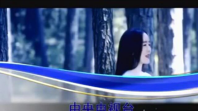 中国音乐电视歌曲《最美的情缘》,演唱者:魏新雨