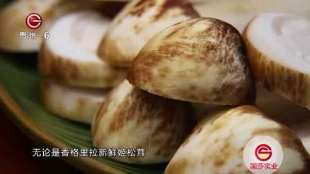 《食尚贵州》美食节目之梵海莲花