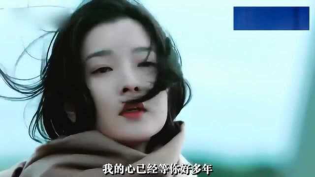 一首经典流行歌曲《迷人的危险》,陪伴了不知多少时光