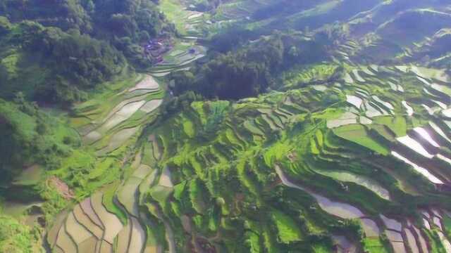 航拍贵州大山里的梯田,层层叠叠,少见的一道奇观