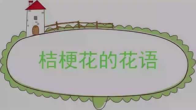 吉梗花的花语是什么呢