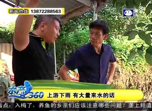 沙洋县:村民养殖草鱼,草鱼得出血病,专家来支招