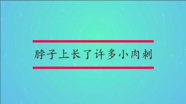 脖子上长了许多小肉刺