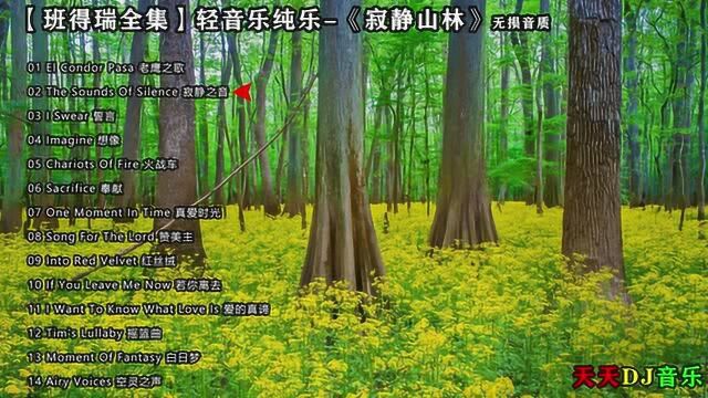 班得瑞全集轻音乐第二部《寂静山林》无损音质,天籁之音 睡眠曲