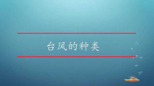 台风的种类有哪些