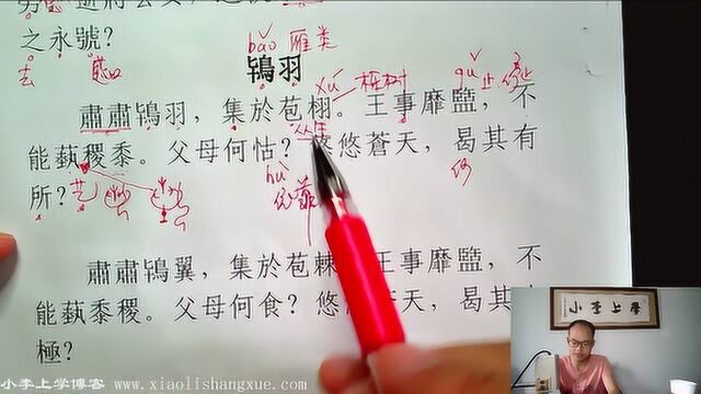 小李上学,古代汉语,诗经,鸨羽