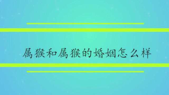 属猴和属猴的婚姻怎么样