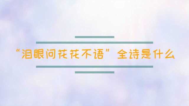 “泪眼问花花不语”全诗是什么