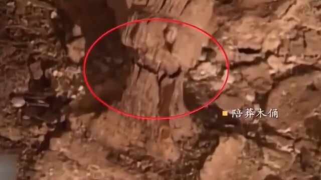 墓室的规模不小 墓室里竟空无一物 墙壁上的沁水线引起专家注意