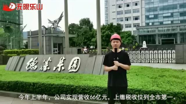 德胜钒钛:“先进材料”转向出发