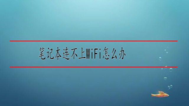 笔记本连不上WiFi怎么办呢