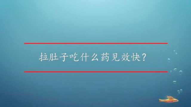 拉肚子吃什么药见效快?