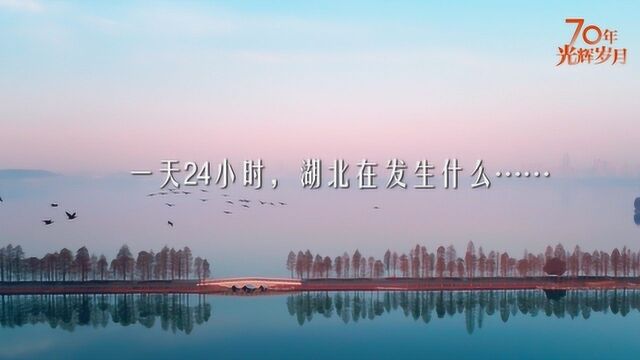 湖北24小时