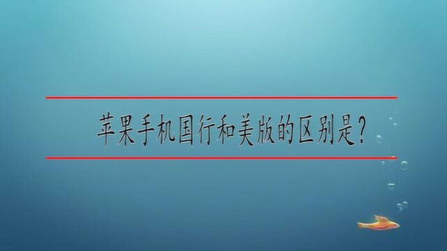 苹果手机国行和美版的区别是?