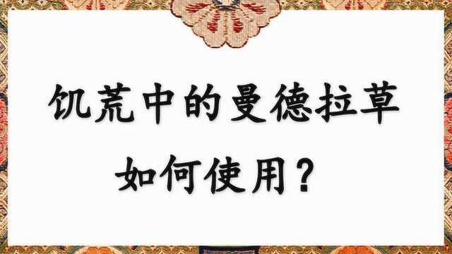 饥荒中的曼德拉草如何使用?