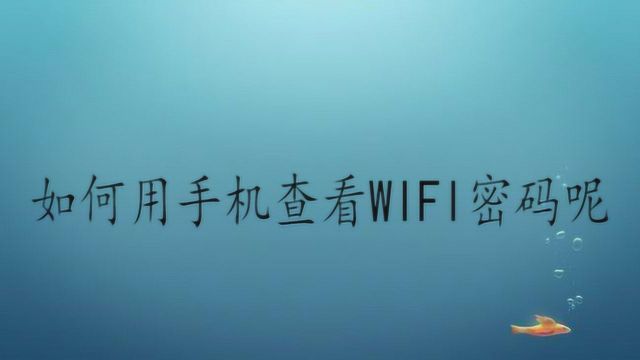 如何用手机查看WIFI密码呢