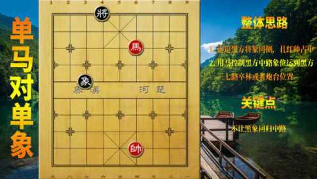 象棋残局:单马对单象,思路及关键点解析,只需学一次就会了的残局