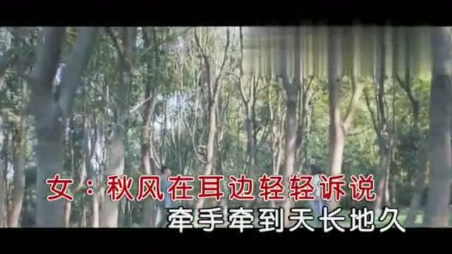 2019最新情歌!一曲《爱到白头情相守》送给今生最爱的人!