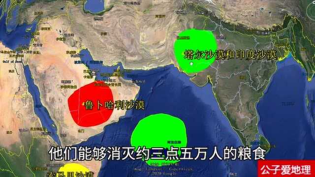 沙漠蝗虫到底是怎么回事?影响了13个国家,会对我国造成影响吗