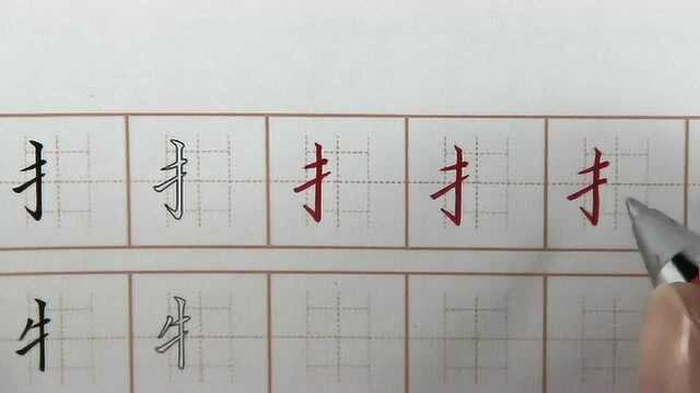 每日练字努力成为一个写字牛人,提手旁牛字旁偏旁,硬笔书法练字初学者字帖