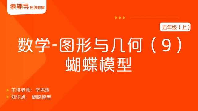 小学五年级(上)数学《图形与几何(9):蝴蝶模型》