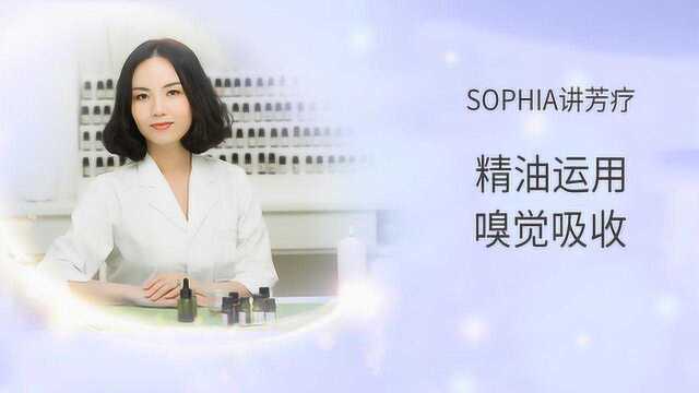 【芳灸儿】导师SOPHIA芳香疗法课程三:精油运用之薰香