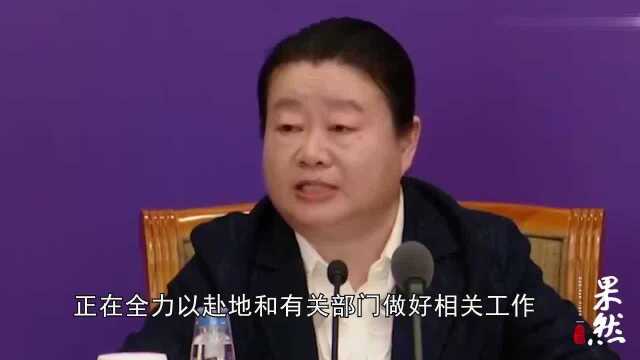 果然视频|民政部:今年清明节大力推广云祭扫等非现场祭扫