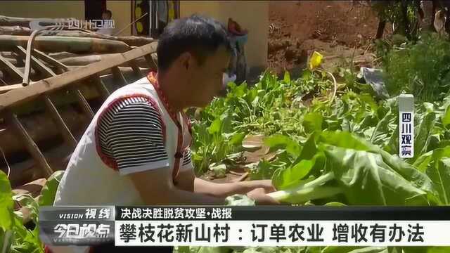 力争把新山建设成美丽的新村!攀枝花脱贫致富增加新方法