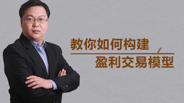 星雅龙教你如何构建“盈利交易模型“ 期货外汇黄金学习课程