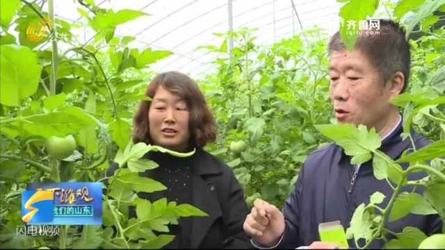 潍坊安丘:科学家“牵手”企业家 精准对接助推产业升级