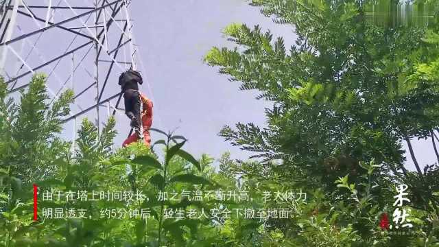 果然视频丨聊城六旬老人爬高压线塔欲轻生被营救