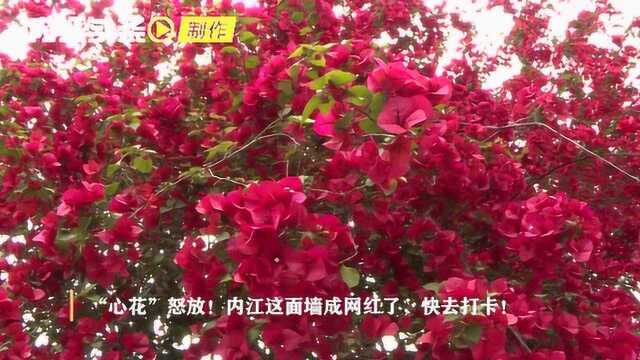 “心花”怒放!内江这面墙成网红了,快去打卡!