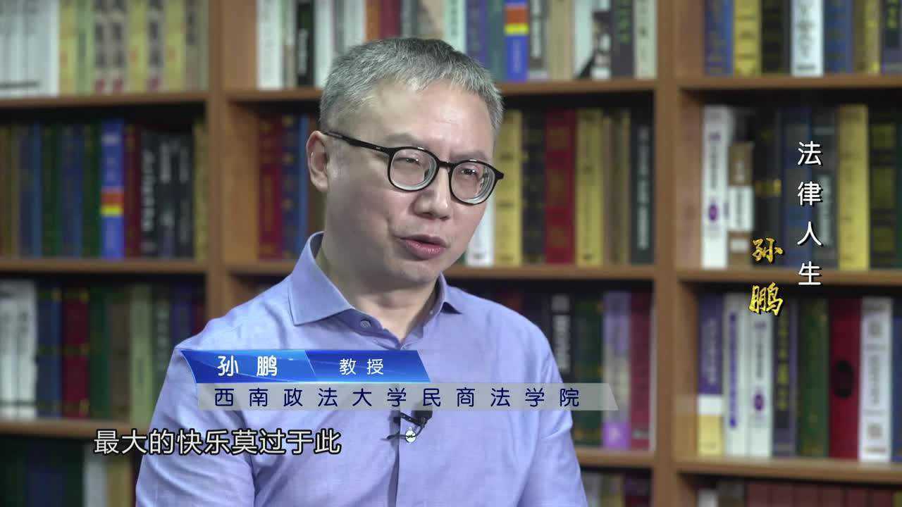 西南政法大学孙鹏教授简介