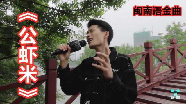 一首能让你忘却烦恼的神曲,闽南语金曲《公虾米》,太经典了