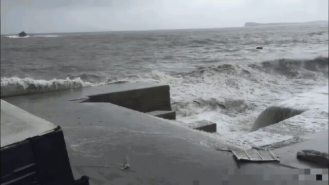 海浪要是凶起来 哪有前浪、后浪之分 总称灾害性海浪